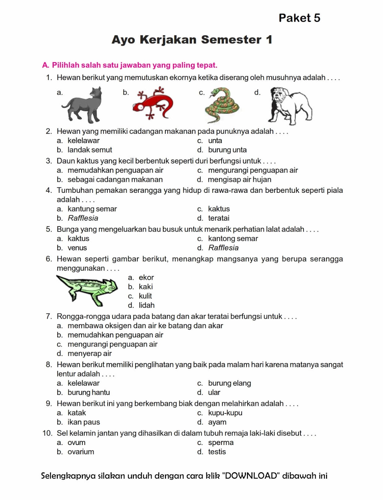 Soal Ujian Ipa Kelas 5 Semester 2 - Piffle me